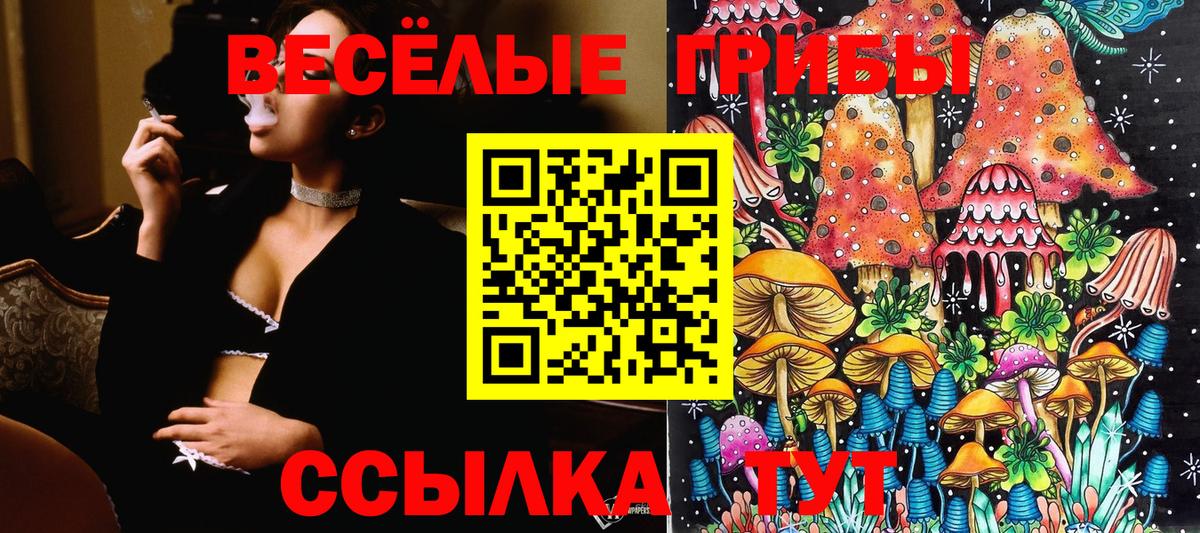 Псилоцибиновые грибы GOLDEN TEACHER  наркотики  Усолье-Сибирское  Вход с VPN 
